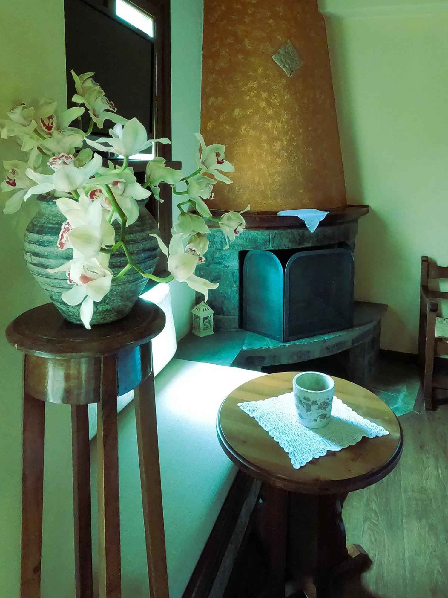 Amalthia Traditional Guesthouse Tsagkarada Habitación foto